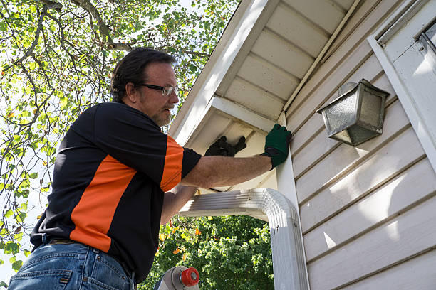 Siding Removal and Disposal in Golden Shores, AZ